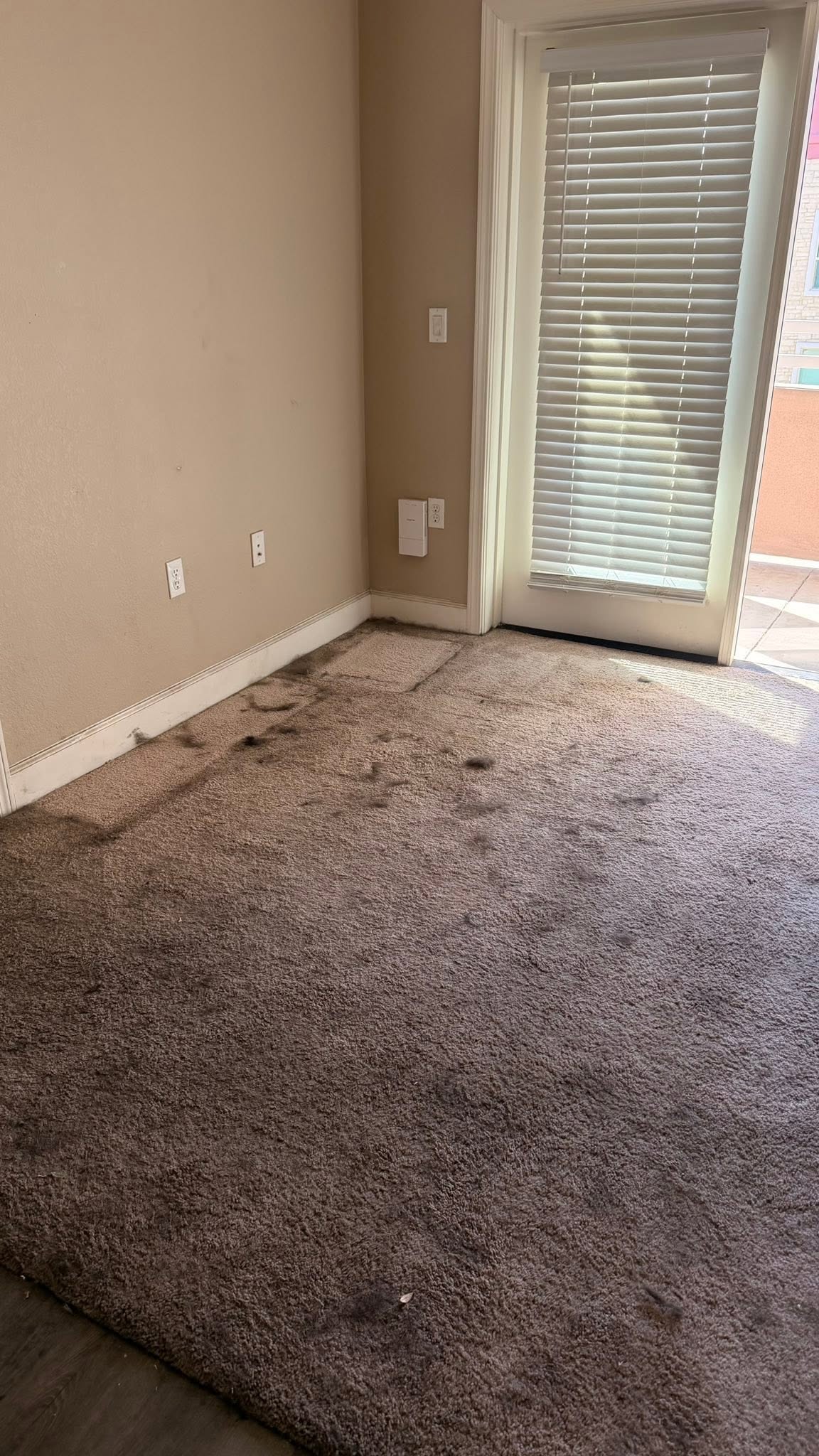 Dirty carpet with dark stains before cleaning